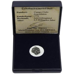 Campo del Cielo Meteorites iron meteorite in gift pouch