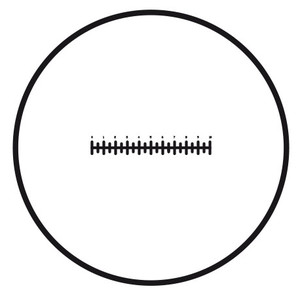 Motic Placa micrométrica Retícula con escala (10 mm en 100 secciones), (Ø25 mm)
