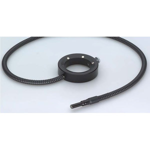 SCHOTT Anillo de luz de 6 puntos, Ø i=66 mm, para KL 300