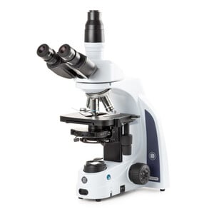 Euromex Microscope iScope IS.1153-PLPH, BF, PH, trino, DIN, plan, 100x-1000x, LED, 3W