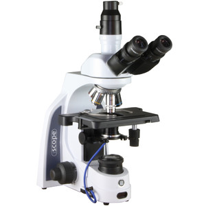 Euromex Microscope iScope IS.1153-PLi/DF, trino