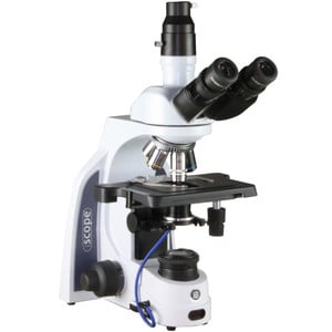 Euromex Microscope iScope IS.1153-PLi/DFI, DF, trino, infinity, plan, 4x-100x, 100x iris, IOS super contrast oil, spring, LED, 3W