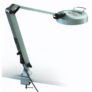 StarLight Opto-Electronics Vergrootglazen LL6-NW-UV365, 3 × Natuur (4.000 K), 3 × UV (365 nm)