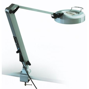 StarLight Opto-Electronics Vergrootglazen LL6-PW-UV400, 3 × zuiver wit (6.000 K), 3 × UV (400 nm)