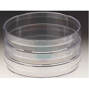 Windaus Placas de Petri 94x16 mm, poliéster 20 unidades