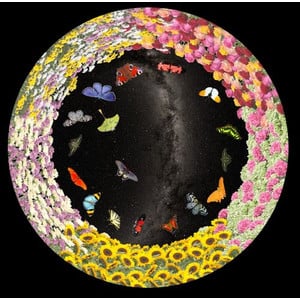 astrial Slide for the Sega Homestar Planetarium: Flowers and Butterflies