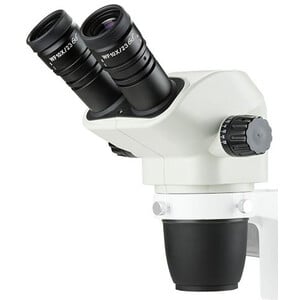 Euromex Cabazal estereo microsopio Nexius, cabeza NZ.5312 EVO, bino, 6,5-55x
