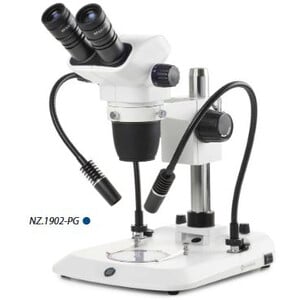 Euromex Microscopio stereo zoom NZ.1902-PG, 6.7-45x, Columna, 2 Cuellos de cisne, Luz transmitida, bino