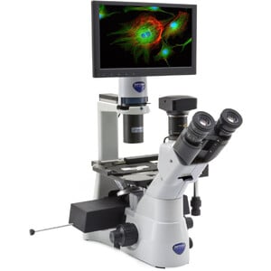 Optika Microscopio invertido IM-3LD4D, 6MP, pantalla de 12", trino, IOS U-PLAN F, LED-FLUO, LWD, 400x, 4 ranuras de filtro vacías