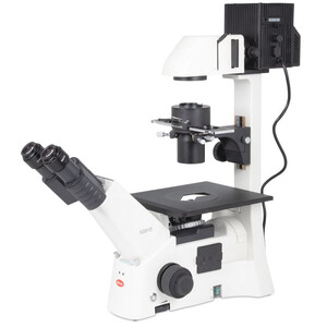 Motic Inverted microscope AE31E bino, infinity, 40x-400x, phase, Hal, 100W