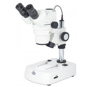 Motic Microscopio stereo zoom SMZ-143 N2LED, trino, LED, 10-40x, 4:1