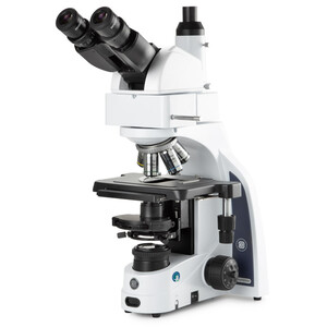 Euromex Microscopio iScope IS.1159-PLPHi, binoculare + fototubo, infinito, fase planare IOS 100x-1000x, 10x/22 DL, Köhler LED