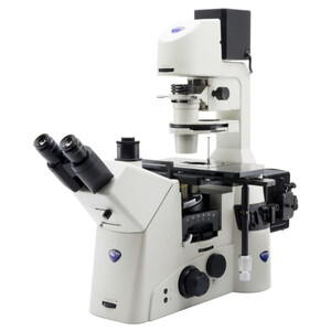 Optika Microscopio invertito I
