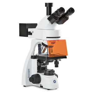 Euromex Microscope Mikroskop BS.3153-PLFi, trino, 40x-1000x