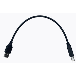 PegasusAstro Cavo USB 2.0-A Male - USB 2.0-B Male