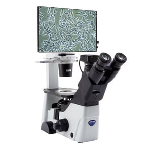 Optika Microscope IM-300D, digital, PH, 100-400x, IOS LWD W-PLAN PH, N.A. 0.3, X-LED, 6 MP, 15.6" 4K