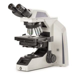 Euromex Microscopio Achios-X Observer, AX.1152-PLPHi, bino, EWF 10x/22 mm, plan, PH, PLPHi 10/20/S40/S100x oil IOS, 3 W NeoLED™