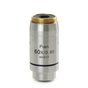 Euromex Obiettivo, AX.7260, Infinity EIS 60 mm, plan PLi S60x/0.8, M25, 1.5 mm