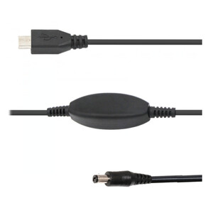 Ikarus Technologies Cable 12V DC 2.1mm / 5V USB-C