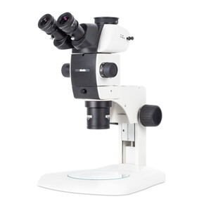 Motic Microscopio stereo zoom SM7TR-P APO1X, trino, 8-56X, WD 81 mm, 7:1