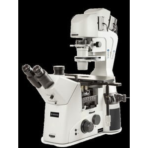 Euromex Inverted microscope DI.1053-PLPHFi, trino, 100-400x, IOS, LED