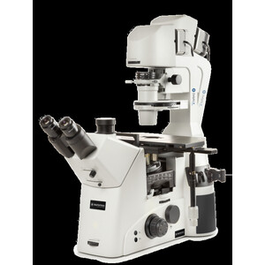 Euromex Microscopio invertito DI.1053-PLPHFi, trino, 100-400x, IOS, LED