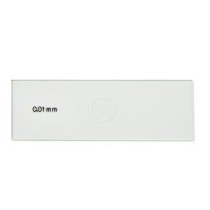 Euromex Micrometri per oggetti Micrometro oggetto 1mm/100 parti