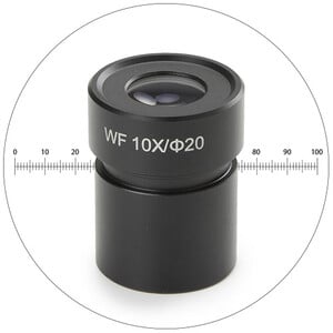 Novex Wide field WF 50.811, 10x eyepiece with micrometer