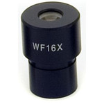 Eyepiece