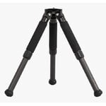 Carbon statief