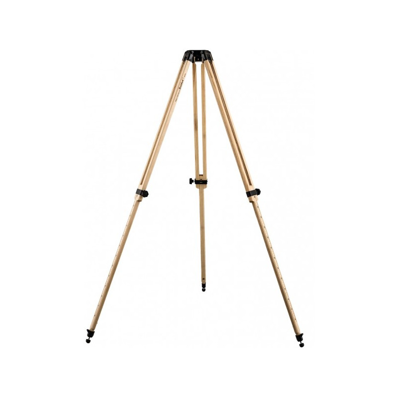 Berlebach Report 362/75 tripod