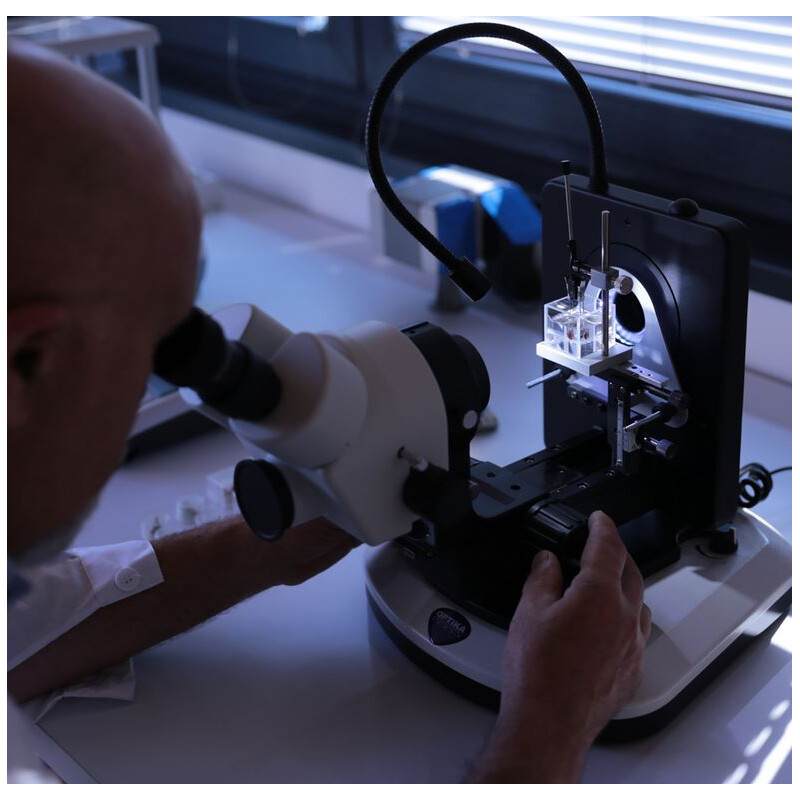 Optika Microscopio stereo zoom OPTIGEM-4, trinocular, gemología, trípode inclinable
