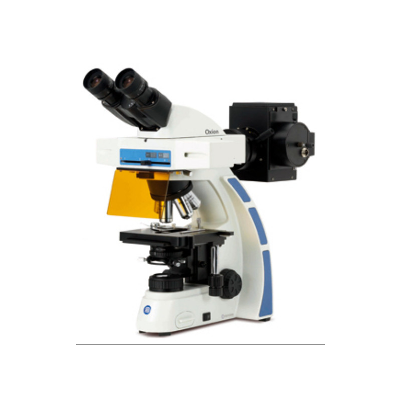 Euromex OX.3070 binocular microscope, Fluarex