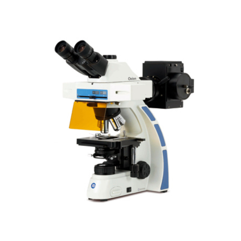 Euromex OX.3075 trinocular microscope, Fluarex