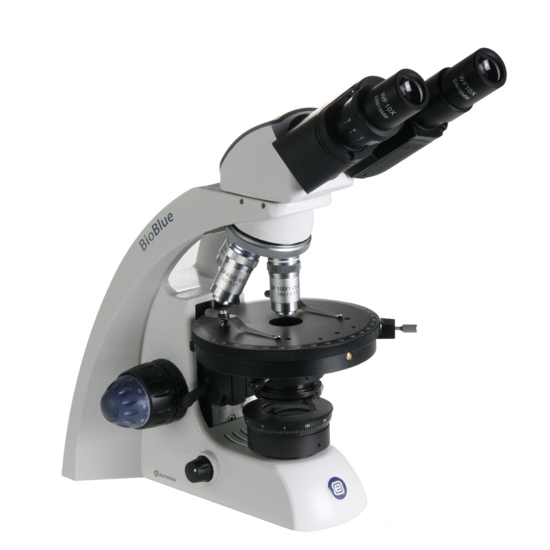 Euromex BB.4260POL microscope, binocular