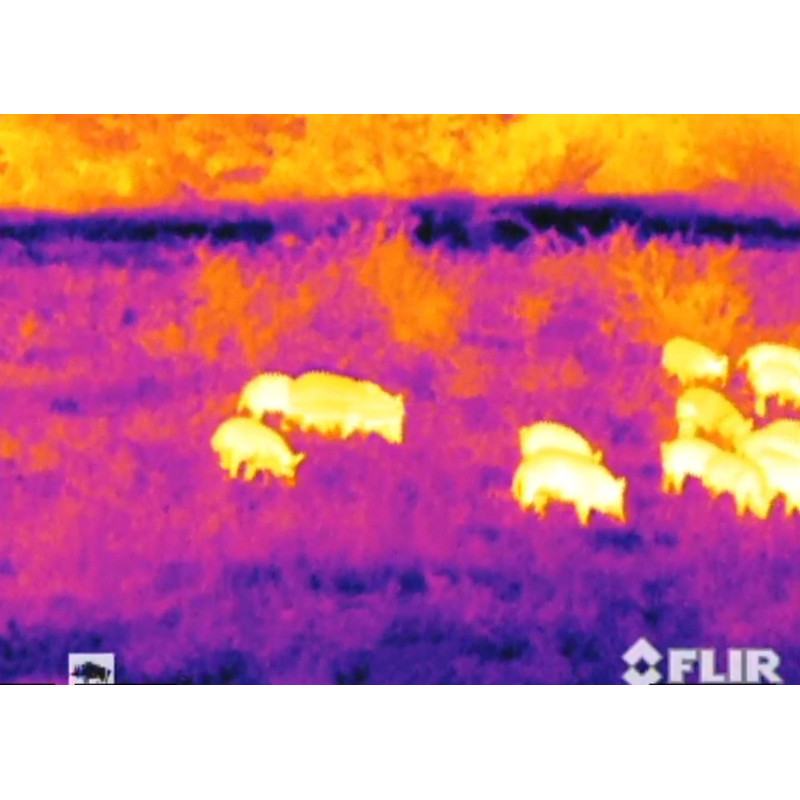 Armasight Thermal imaging camera Helios 336 HD 30 Hz 8-32x100