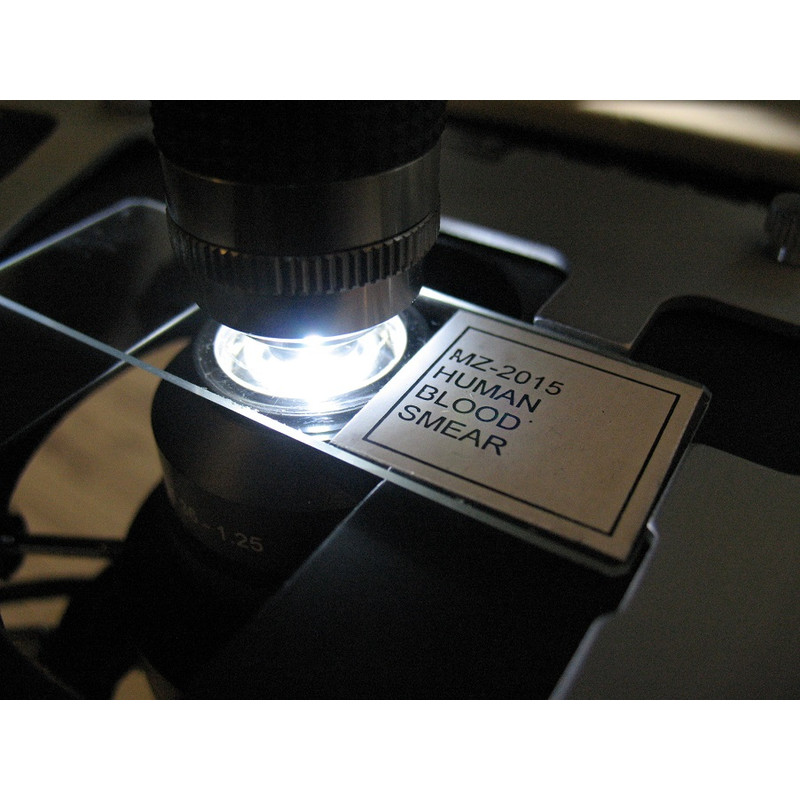 Optika Microscope B-383DKIVD, trino, darkfield, N-PLAN, 100x W-PLAN, 40x-1000x, IVD
