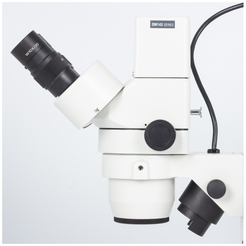 Motic DM-143-FBGG stereo microscope