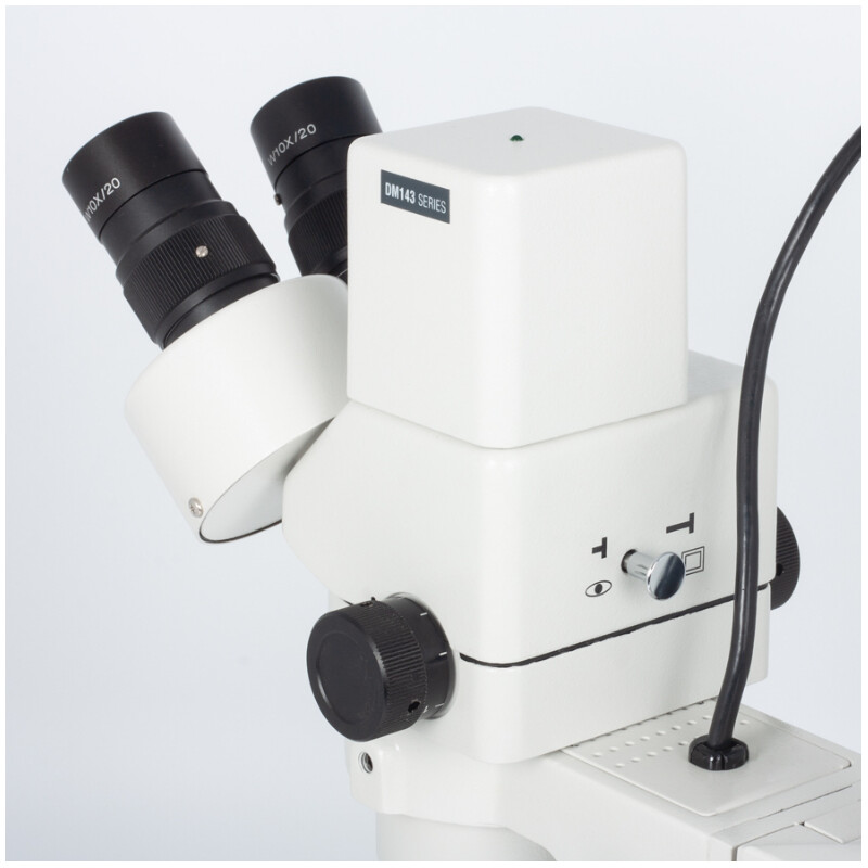 Motic DM-143-FBGG stereo microscope