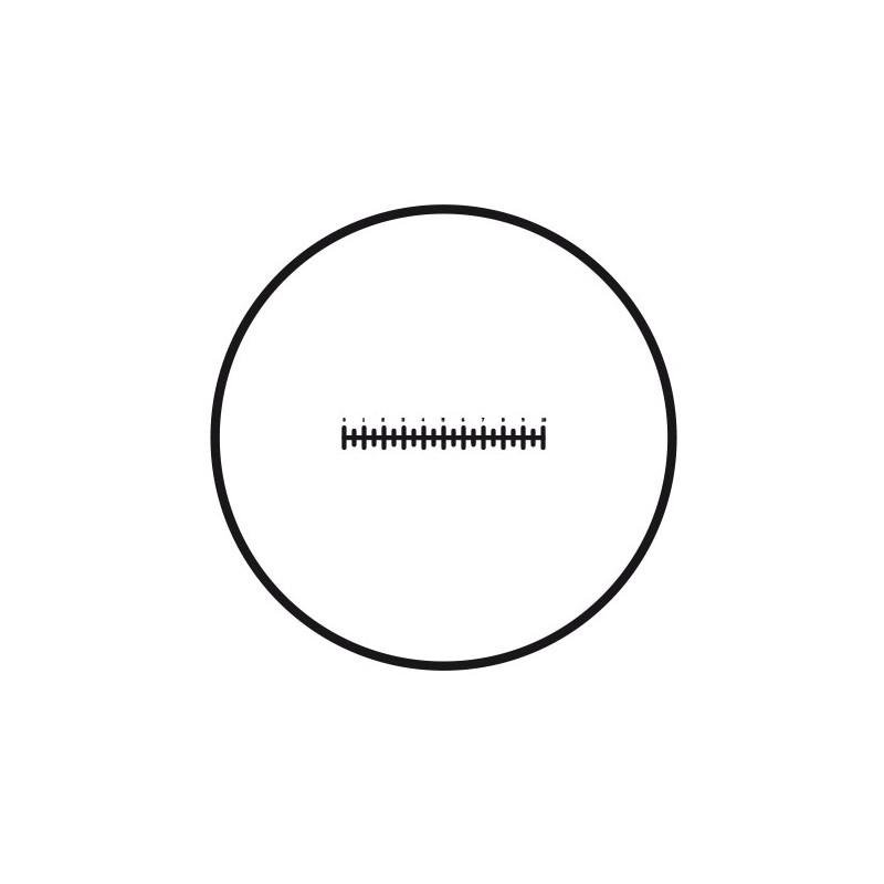 Motic Piastra graduata micrometrica Piastra graduata (10 mm in 100 parti), (Ø 25 mm)