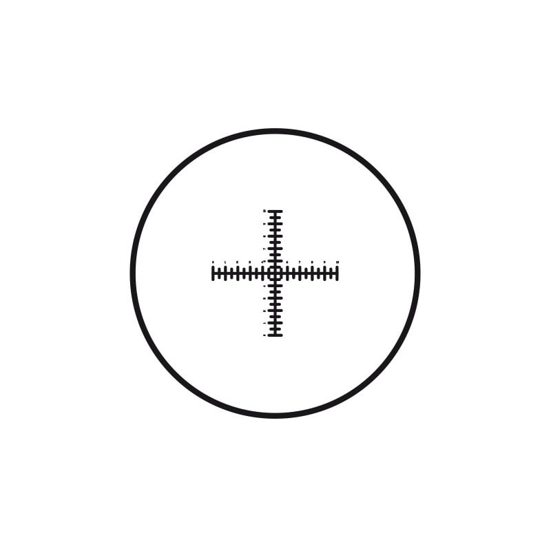 Motic Lastra micrometrica Mikrometerstrichplatte Strichplatte Fadenkreuz mit doppelter Skalierung (10mm in 100 Teilen), (Ø25mm)