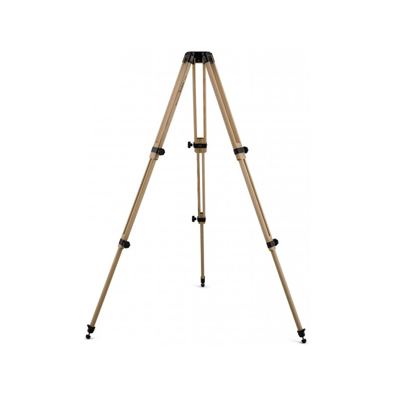 Berlebach Wooden tripod Report 843