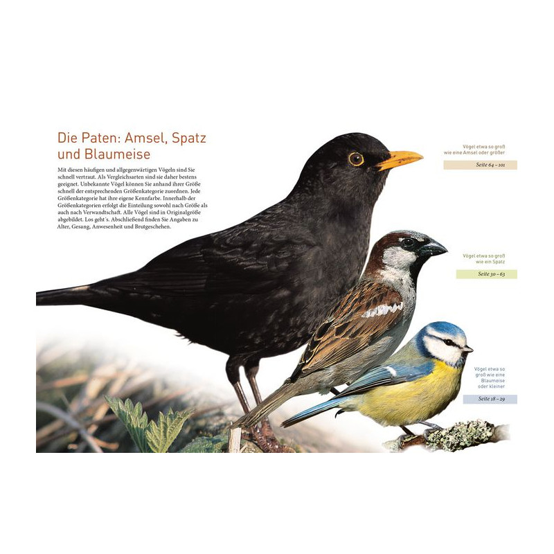 Kosmos Verlag Life Size Garden Birds (in German)