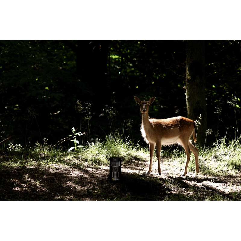 National Geographic Wildlife camera Beobachtungskamera