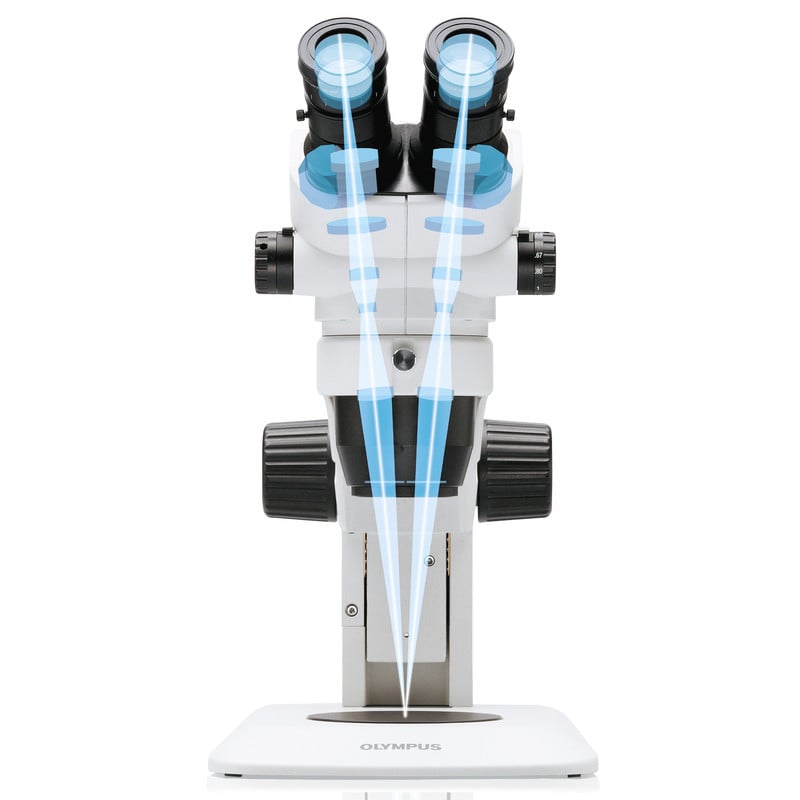 Evident Olympus Stereo zoom microscope Olympus SZ61TR RL (trino) + RL66S-80 NW