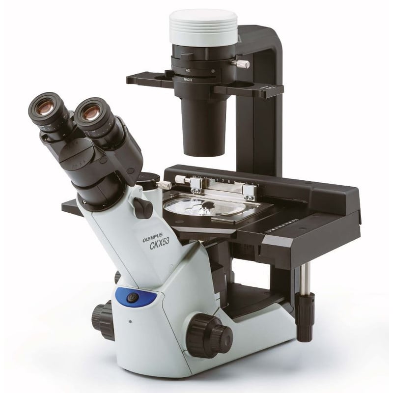 Evident Olympus CKX53 trinocular microscope, 100X, 200X, 400X, IPC / IVC x/y stage