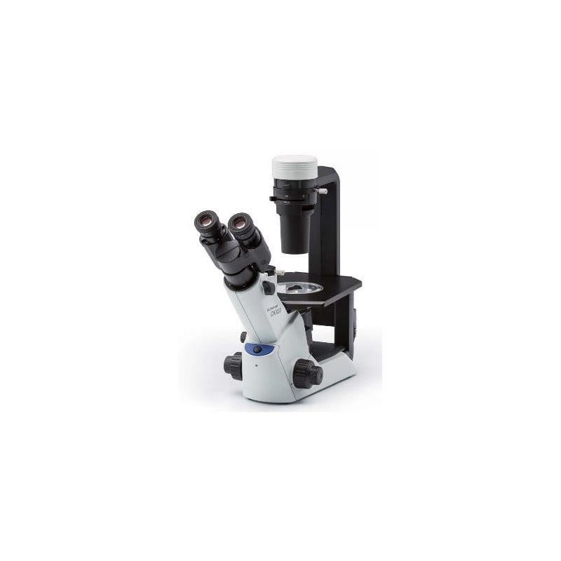 Evident Olympus Inverted microscope Olympus CKX53 Hellfeld V1, trino, 40x, 100x,