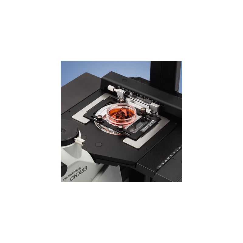 Evident Olympus CKX53 trinocular microscope, 100X, 200X, 400X, IPC / IVC x/y stage