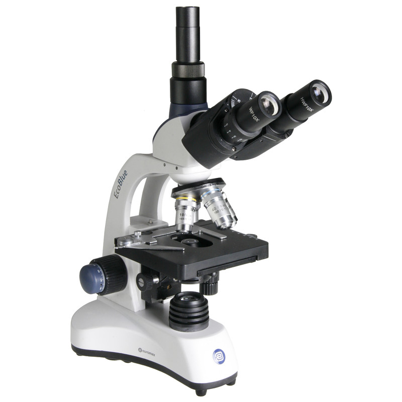 Euromex Microscope EC.1653, trino, LED, 40x, 100x, 400x, 600x