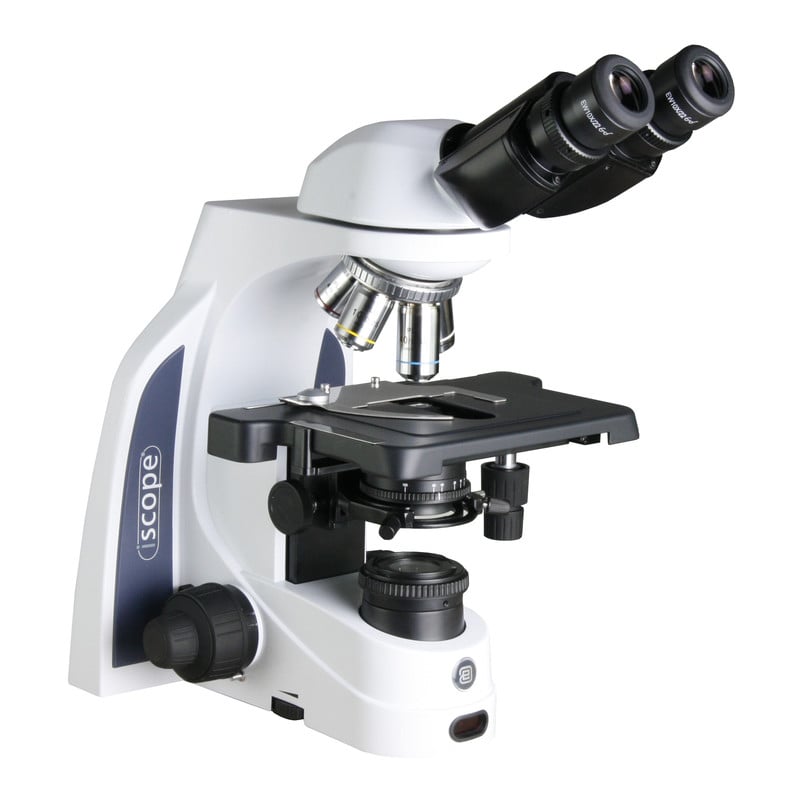 Euromex Microscope iScope IS.1152-PLi, bino, infinity, plan, 40x-1000x, iCare, LED